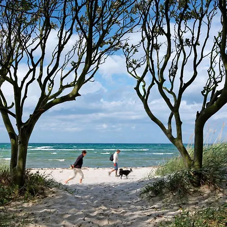 Doppelhaeuser Zum Reetmoor Haus Friederike *