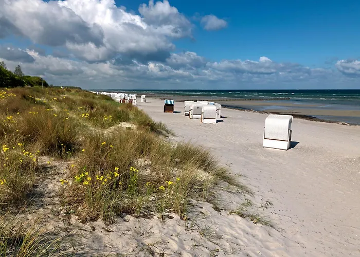 Doppelhaeuser Zum Reetmoor Haus Friederike